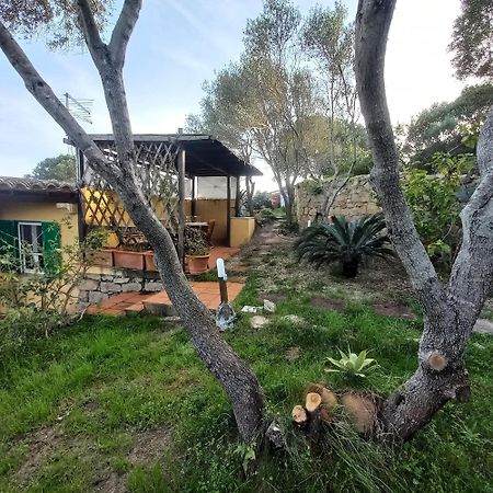 Villa Graziella La Maddalena  Esterno foto