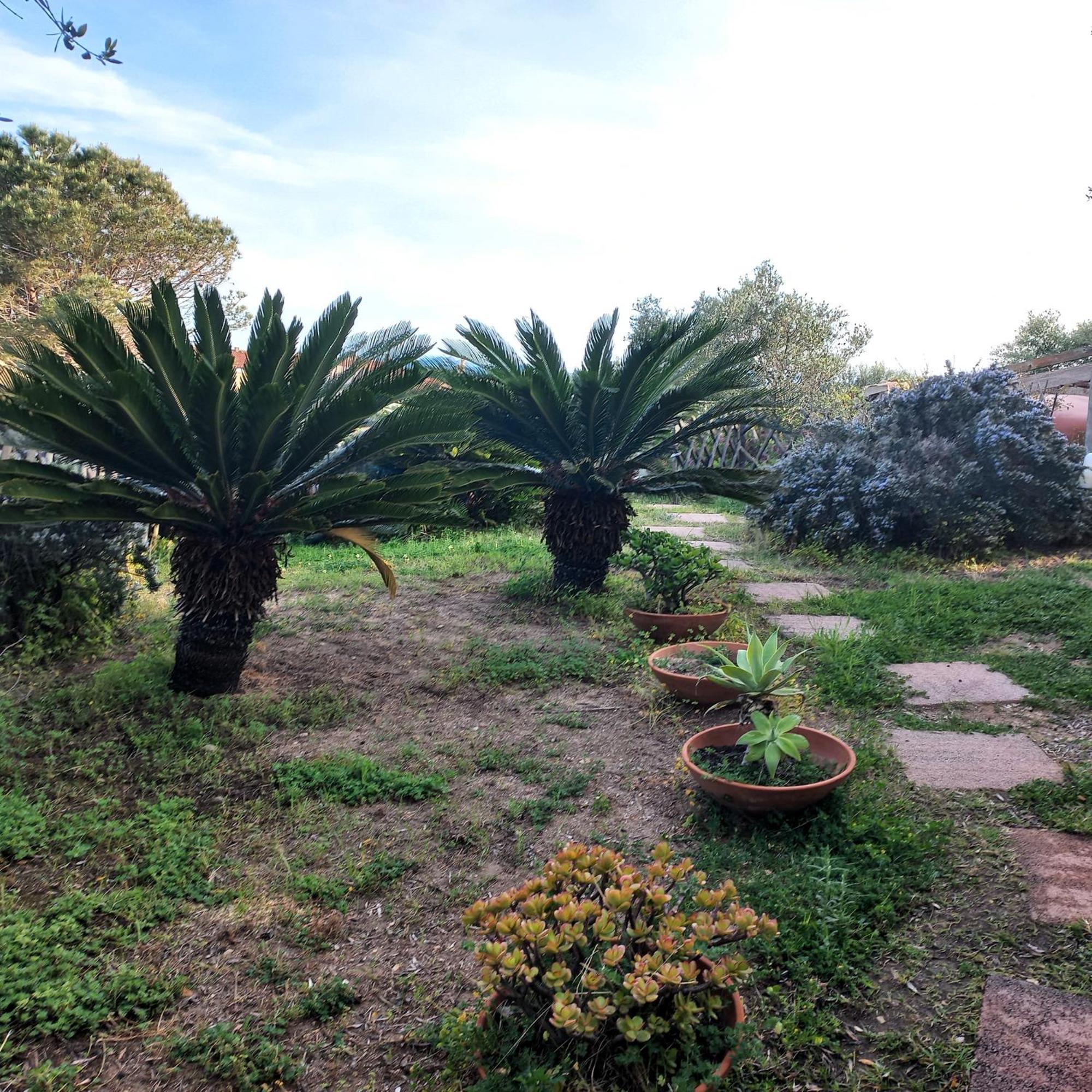 Villa Graziella La Maddalena  Esterno foto
