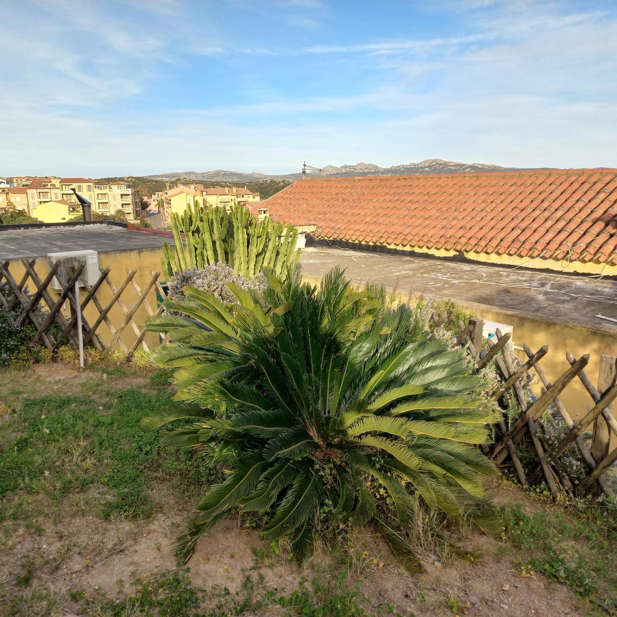Villa Graziella La Maddalena  Esterno foto