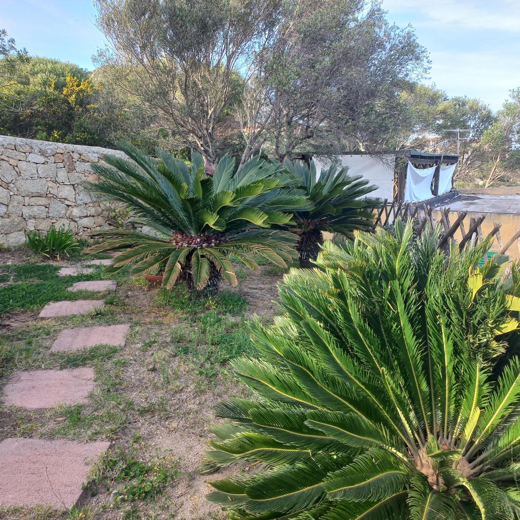 Villa Graziella La Maddalena  Esterno foto