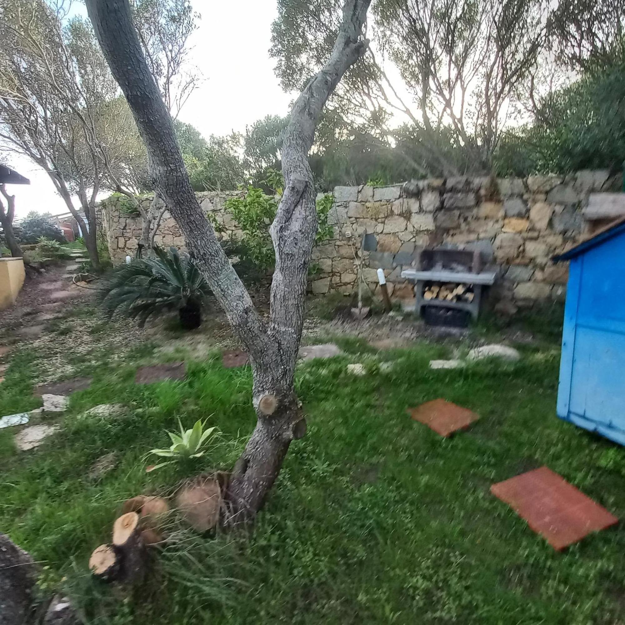 Villa Graziella La Maddalena  Esterno foto